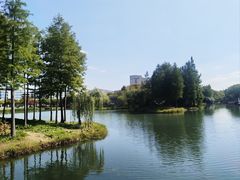 -贡湖湾湿地公园