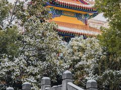 -宝通禅寺