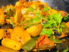 -食乐佳麻辣香锅(森林摩尔商业街区店)