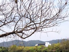 -慈城古县城景区