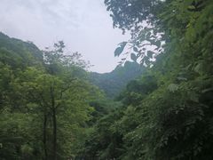 -西安祥峪森林公园