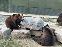 -上海野生动物园