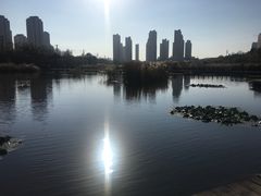 -前关湿地公园