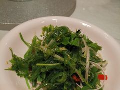 风味海藻-东方红酒楼(知春路店)