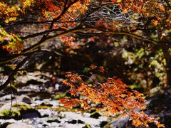 -本溪老边沟风景区