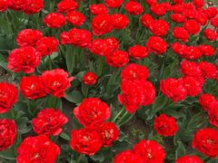 -廊坊文化艺术中心