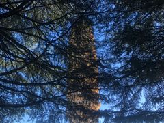 -崇圣寺三塔文化旅游区