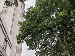 -东南大学(九龙湖校区)