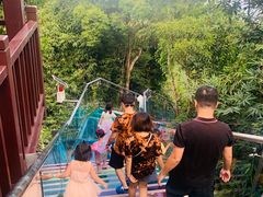 -三亚亚龙湾人间天堂鸟巢度假村