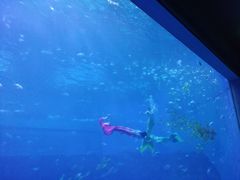 -南昌融创海世界
