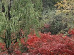 -岳麓山风景名胜区