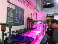 -迪拜水族馆及水下动物园