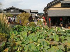 -拈花湾景区-五灯湖