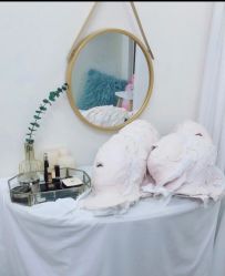 -VE专注问题肌·赛诺龙&科学美肤中心