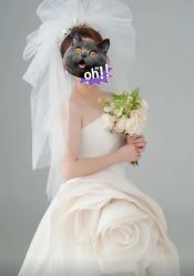 -青禾蒙娜丽莎婚纱摄影(武汉总店)