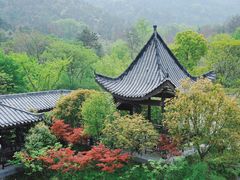 -黄陂区野村谷景区