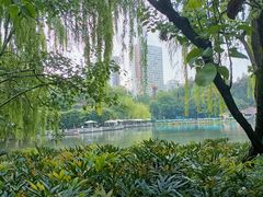 -绵阳人民公园(涪城区)