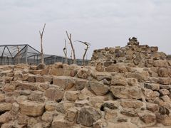 -太原动物园