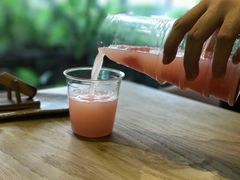 -柴务处·柴犬主题狗咖