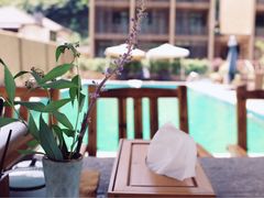 -看见远方·莫干遥远的山民宿