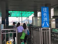 -鱼珠码头(轮渡站)