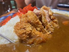 咖喱猪排饭-KITON喜豚(清晖园店)