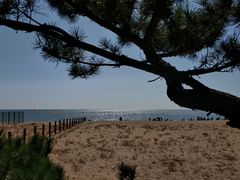 -北戴河东海水浴场