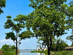 -祝甸砖窑文化馆