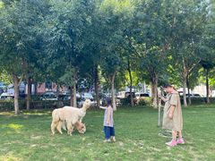 -廊坊固安福朋喜来登酒店