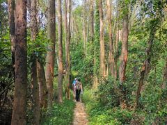 -火炉山森林公园