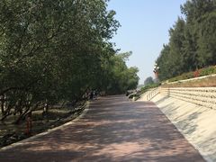 -宝安西湾红树林湿地公园