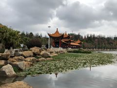 -洛龙公园