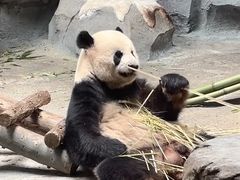 -泉城欧乐堡海洋极地世界
