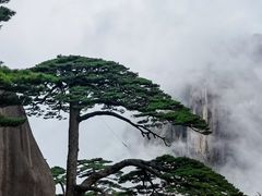 -黄山风景区
