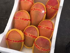 -西郊国际农产品交易中心