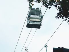 -广州长隆野生动物世界