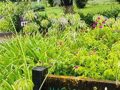 -昆明春城湖畔度假村