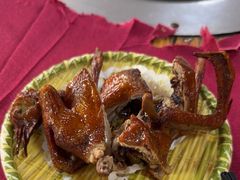 -麻奢鸽农庄·梦里水乡