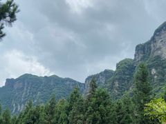 -重庆睡佛山森林公园