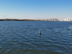 -老六饭店(翠通路店)