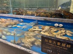 -神洲四海大酒楼(王府井澳门中心店)