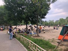 -东郊湿地公园
