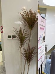 点击看大图 -COSMO PRO造型