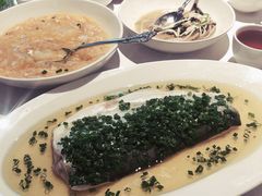 葱油蒸白水鱼-玫瑰厅上海菜(兴国路店)