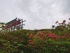 -大围山国家森林公园