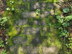 -玉渡山自然风景区