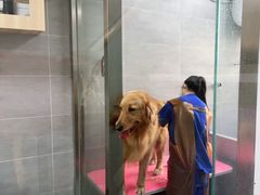 -宠福鑫康馨动物医院·骨科·眼科