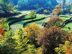 -塔川景区