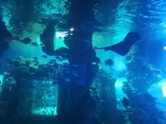 -临沂极地海洋王国