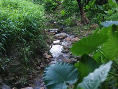 -阳台山森林公园